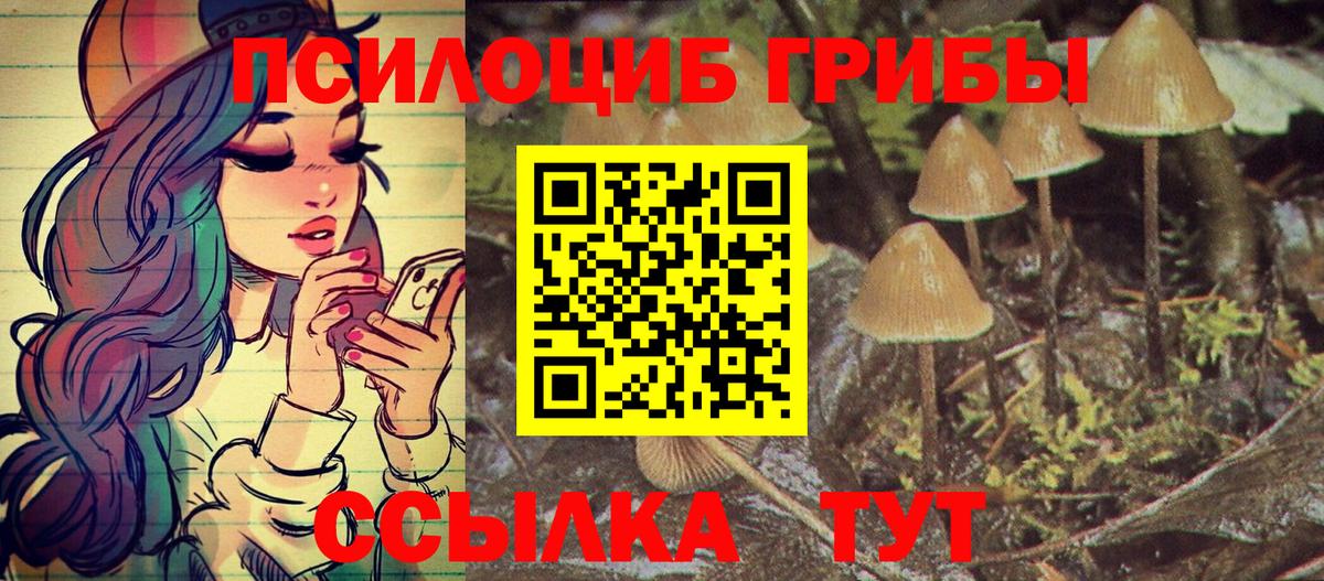 Псилоцибиновые грибы Psilocybe Энгельс
